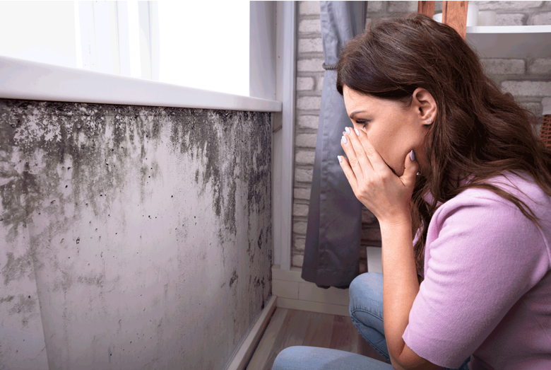 Humidité : Taches et moisissures sur vos murs