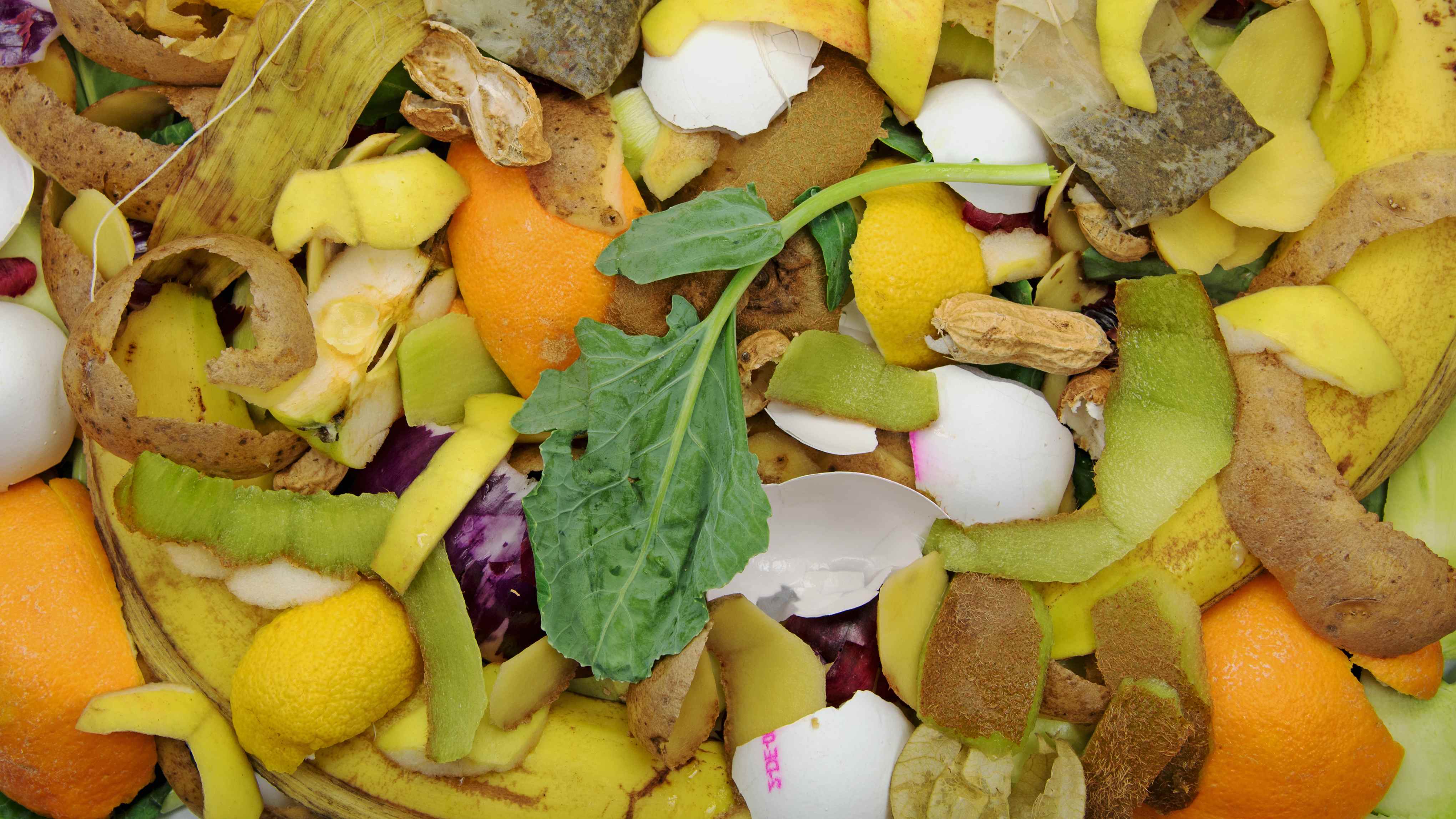 biomasse vegetale